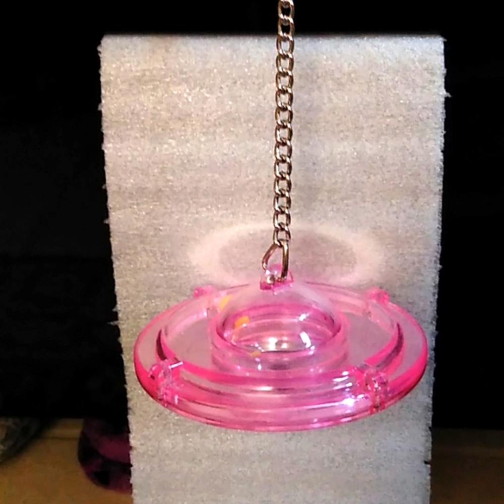 Bird toy